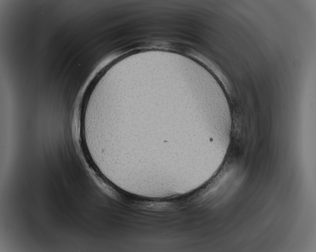 X0000086771131200705111730