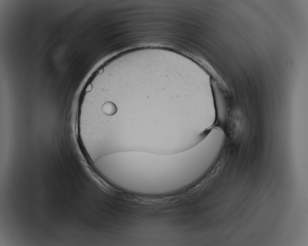 X0000086771132200705111730
