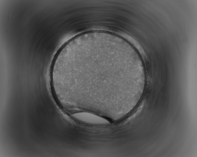 X0000086771133200705111730