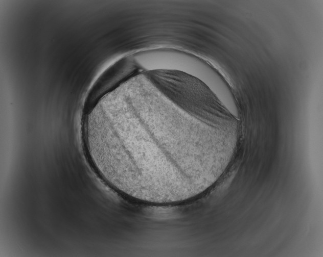 X0000086771134200705111730