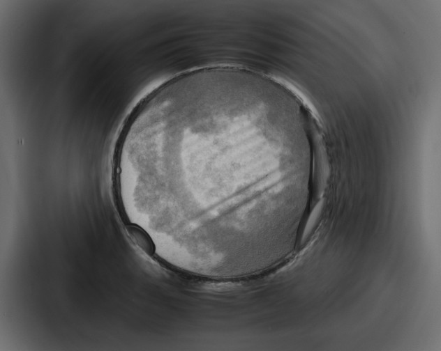 X0000086771135200705111730