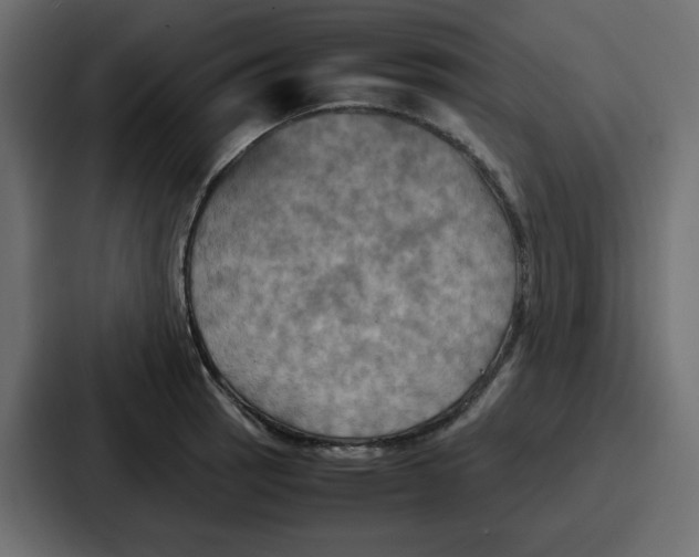 X0000086771137200705111730
