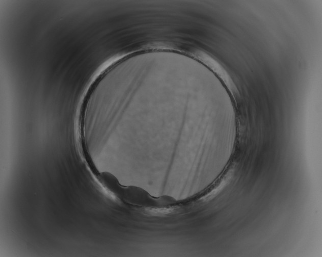 X0000086771141200705111730