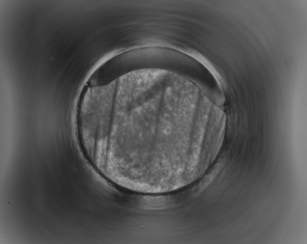X0000086771142200705111730