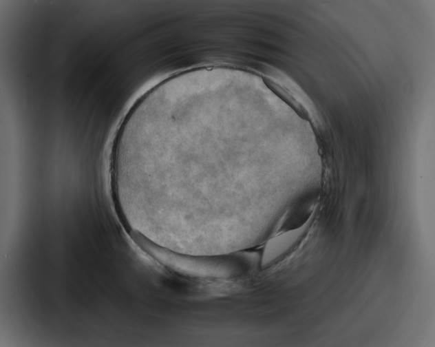 X0000086771143200705111730