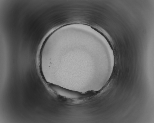 X0000086771144200705111730