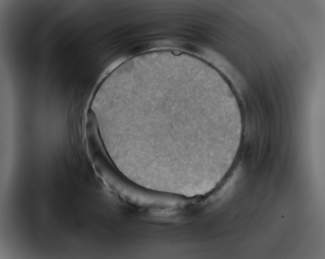 X0000086771145200705111730