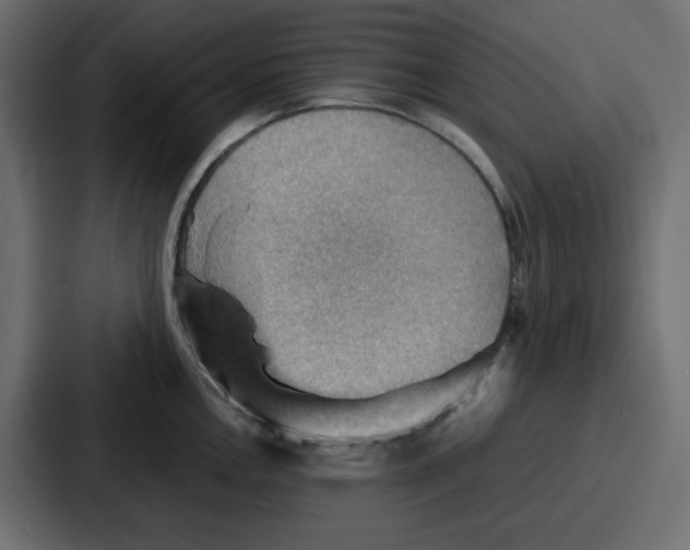 X0000086771146200705111730