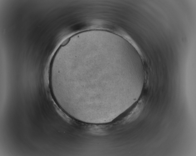 X0000086771148200705111730