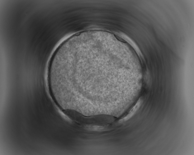X0000086771149200705111730