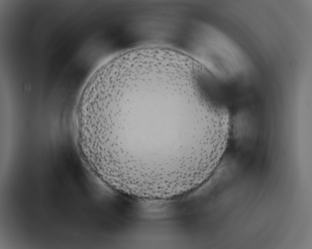 X0000086771150200705111730