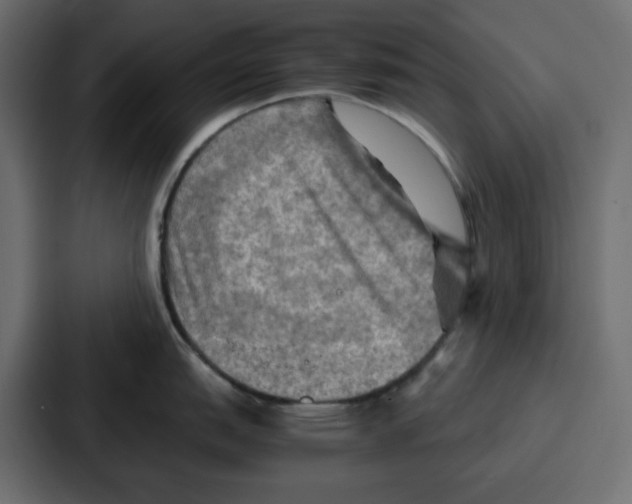X0000086771151200705111730