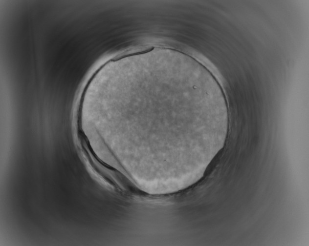 X0000086771152200705111730