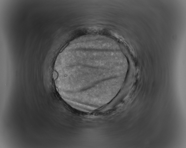 X0000086771153200705111729