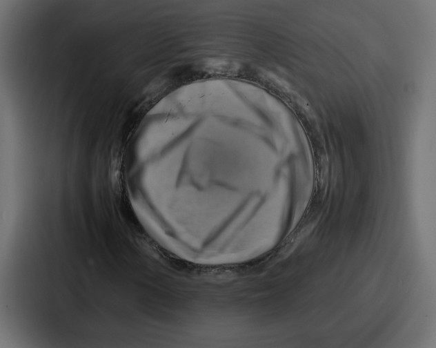 X0000086771154200705111729
