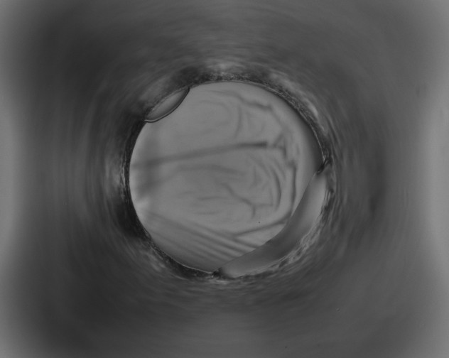 X0000086771155200705111729