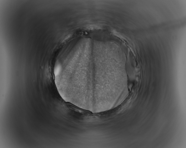 X0000086771156200705111729