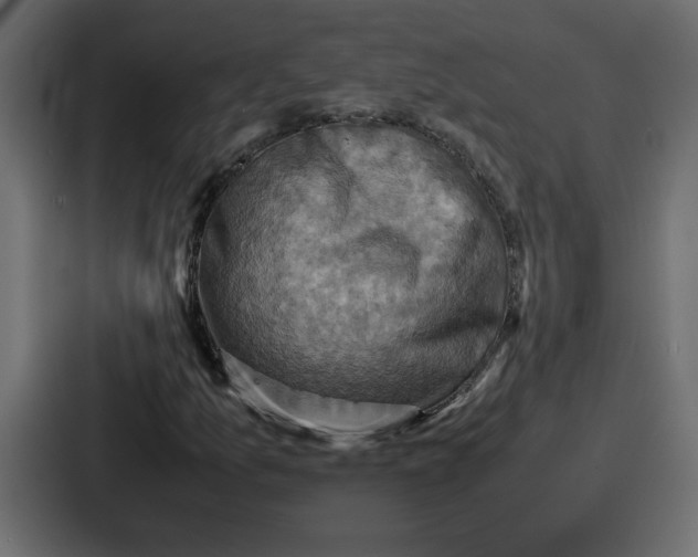 X0000086771157200705111729