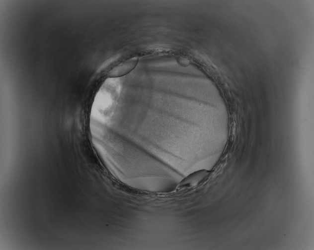 X0000086771158200705111729