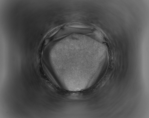 X0000086771160200705111729