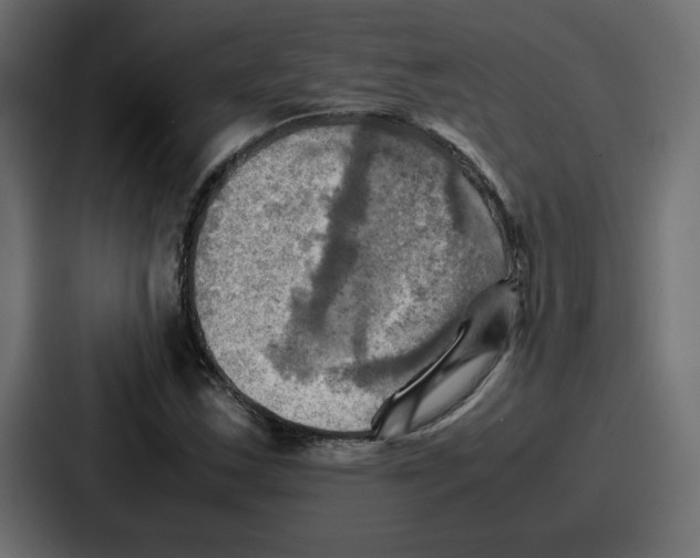 X0000086771163200705111729