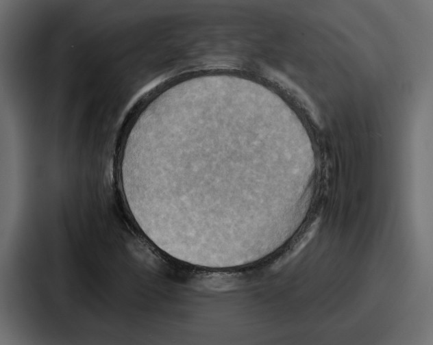 X0000086771166200705111729