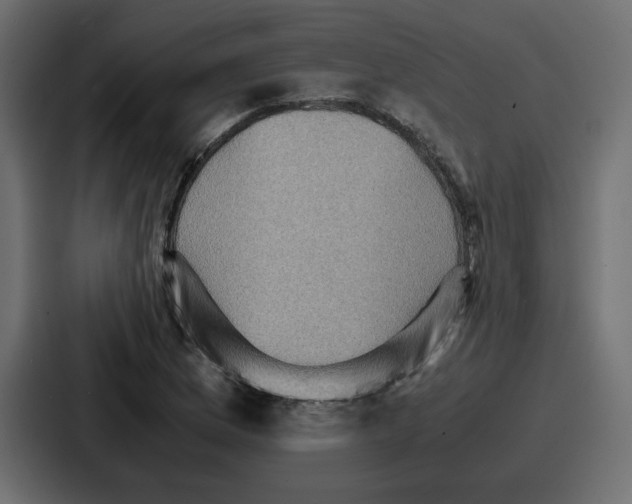 X0000086771169200705111729