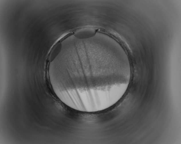 X0000086771170200705111729