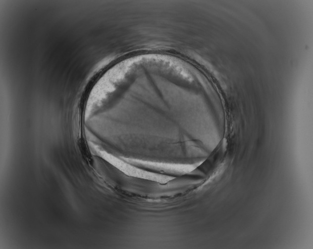 X0000086771171200705111729