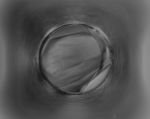 X0000086771173200705111729