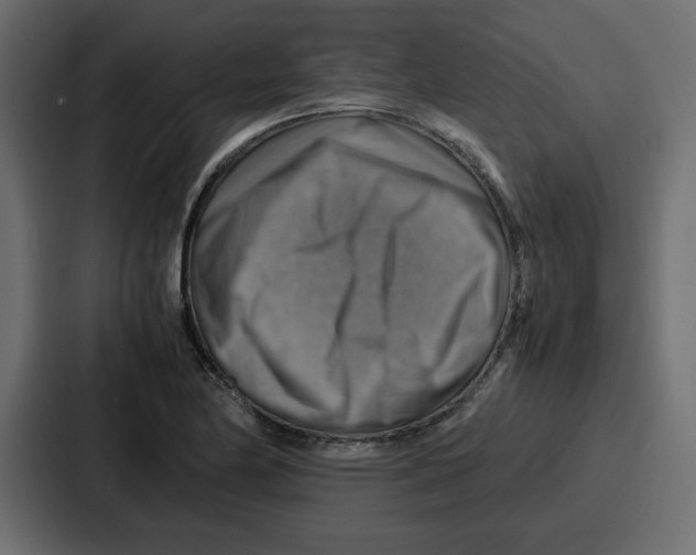 X0000086771174200705111729