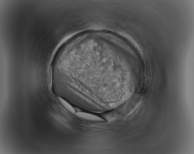 X0000086771175200705111729