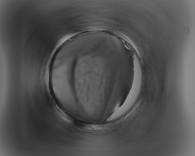 X0000086771179200705111729