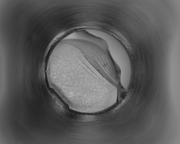 X0000086771180200705111729