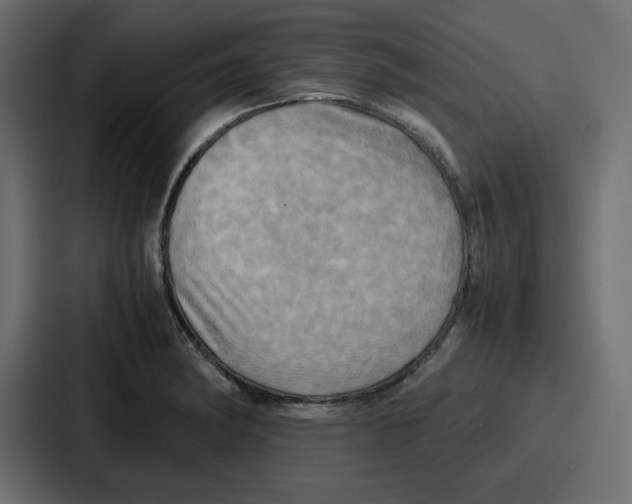 X0000086771182200705111729