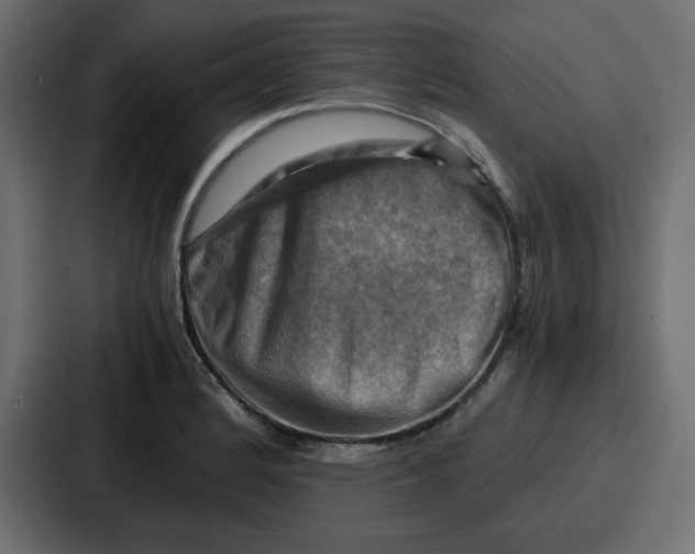 X0000086771184200705111729