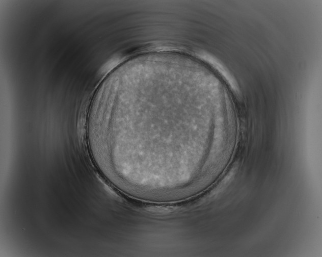 X0000086771185200705111729