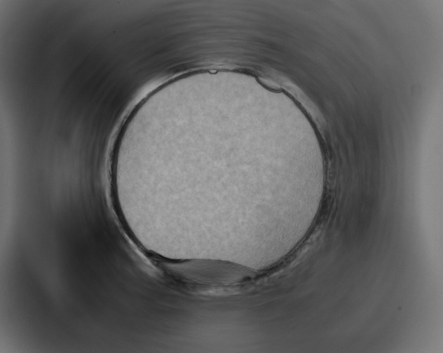 X0000086771187200705111729