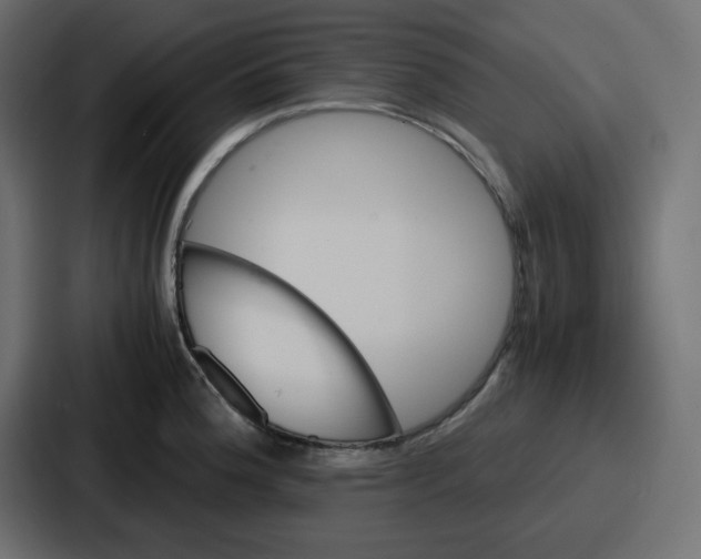 X0000086771188200705111729
