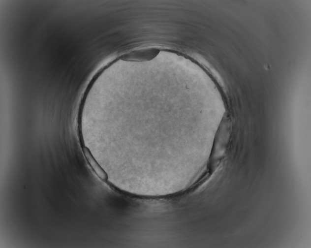 X0000086771189200705111729