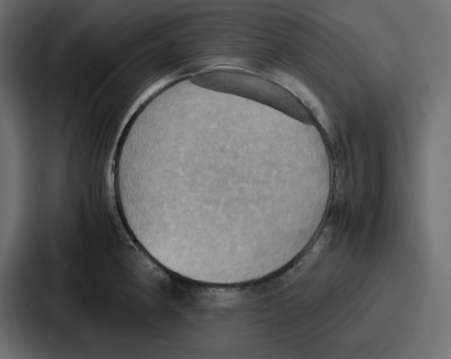 X0000086771190200705111729
