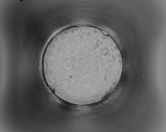 X0000086771191200705111729