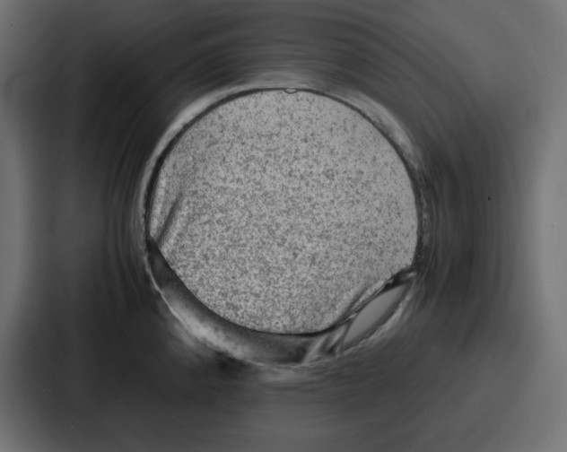 X0000086771192200705111729