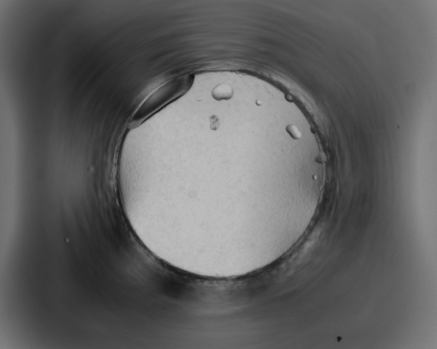 X0000086771193200705111729