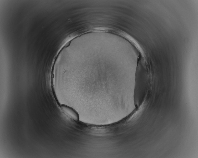 X0000086771194200705111729