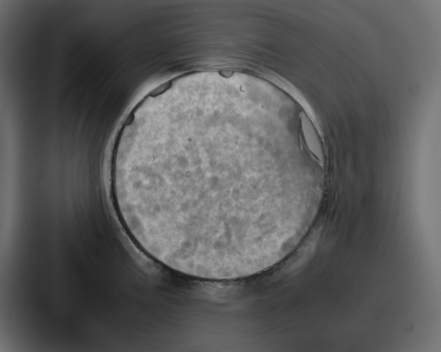 X0000086771195200705111729