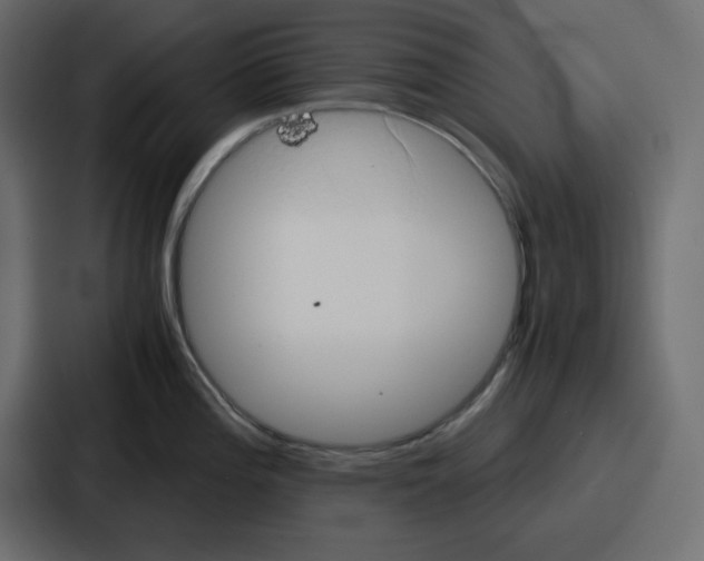 X0000086771196200705111729