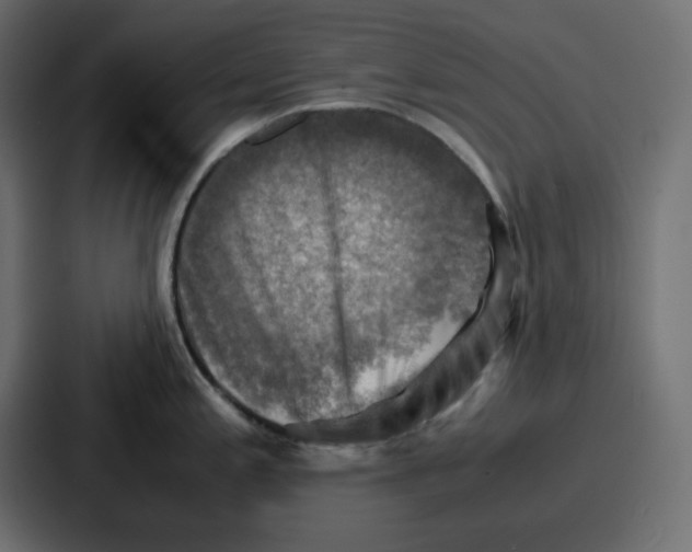 X0000086771197200705111729