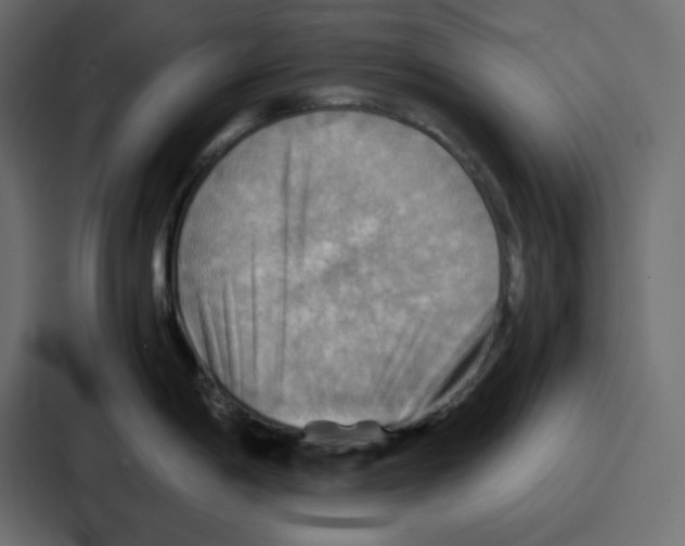 X0000086771198200705111729