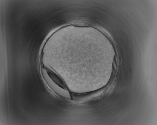 X0000086771200200705111729